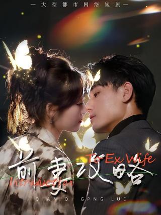 短剧前妻攻略海报
