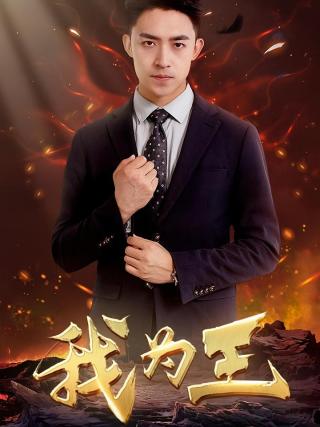 短剧我为王海报
