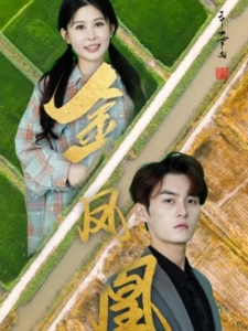 短剧金凤凰海报