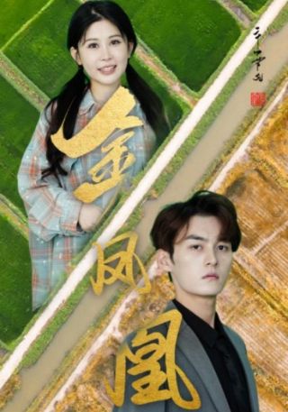 短剧金凤凰海报