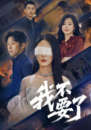 短剧我不要了海报