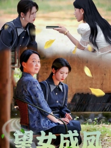 短剧望女成凤海报