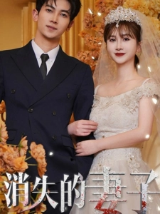 短剧消失的妻子海报