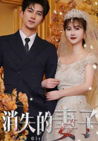短剧消失的妻子海报