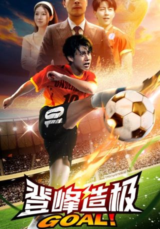 短剧登峰造极海报