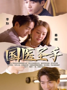 短剧国医圣手海报