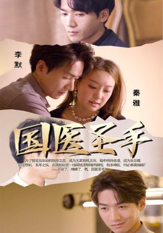 短剧国医圣手海报