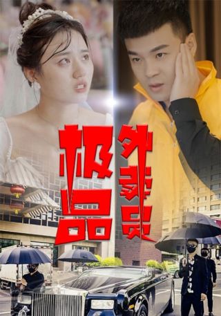 短剧极品外卖员海报