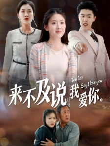 短剧来不及说我爱你海报