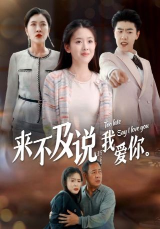 短剧来不及说我爱你海报