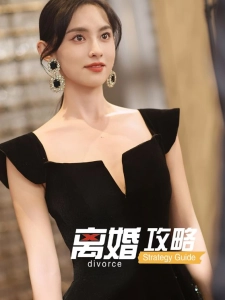 短剧离婚攻略海报