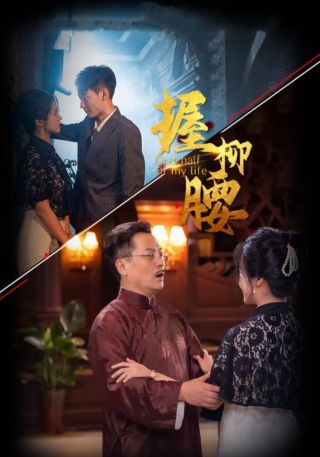 短剧握柳腰海报