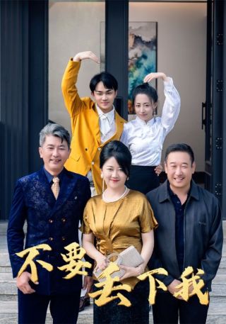 短剧不要丢下我海报