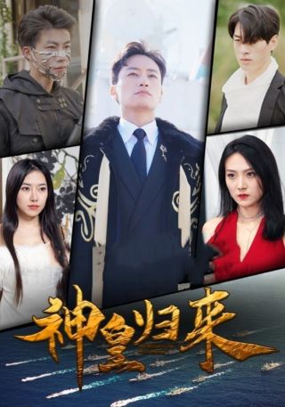 短剧神皇归来海报