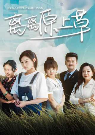 短剧离离原上草海报