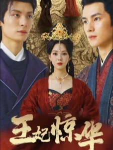 短剧王妃惊华海报