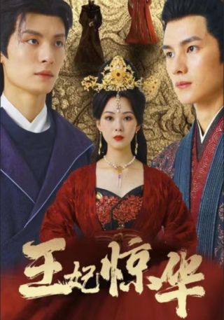 短剧王妃惊华海报