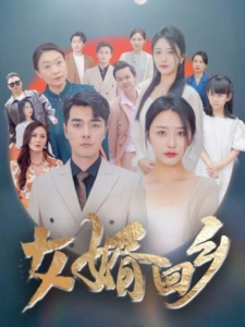 短剧女婿回乡海报