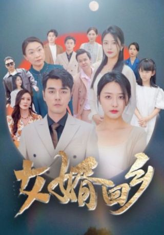 短剧女婿回乡海报