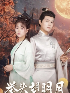 短剧举头望明月海报