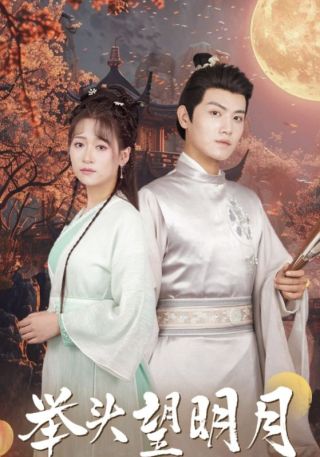 短剧举头望明月海报