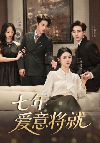 短剧七年爱意将就海报