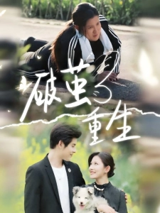 短剧破茧重生海报