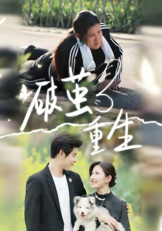 短剧破茧重生海报