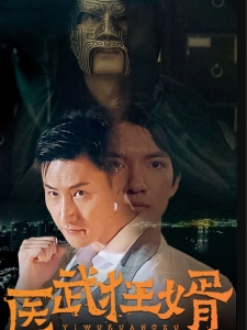 短剧医武狂婿海报