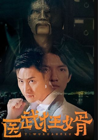 短剧医武狂婿海报