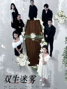 短剧双生迷雾海报