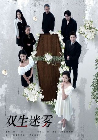 短剧双生迷雾海报