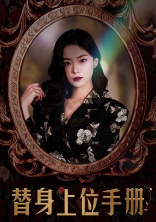 短剧替身上位手册海报