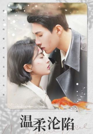 短剧温柔沦陷海报