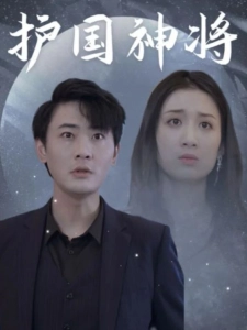 短剧护国神将海报