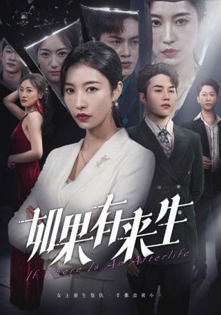 短剧如果有来生海报