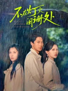 短剧不在灯火阑珊处海报