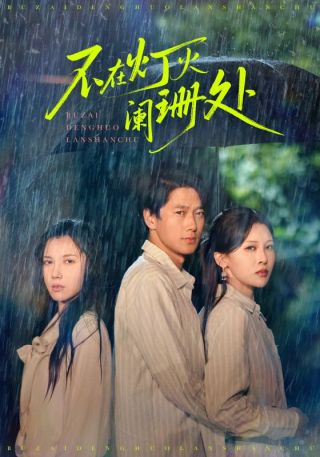 短剧不在灯火阑珊处海报