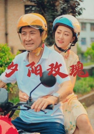 短剧夕阳玫瑰海报