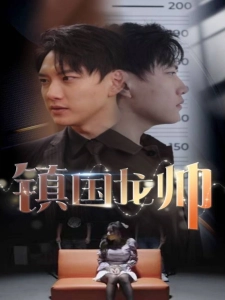 短剧镇国龙帅海报