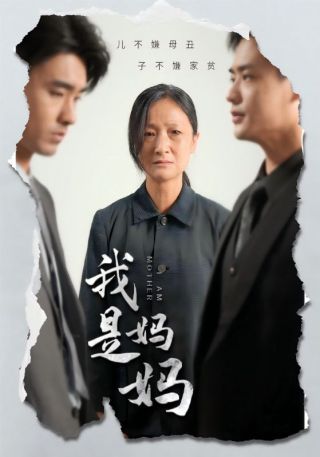 短剧我是妈妈海报