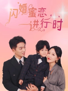 短剧闪婚蜜恋进行时海报