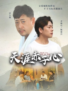 短剧天涯赤子心海报