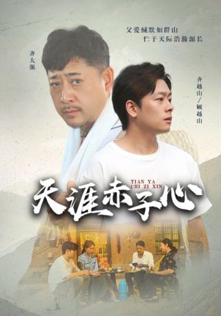 短剧天涯赤子心海报