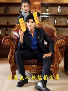 短剧总裁夫人她能掐会算海报