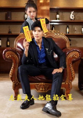 短剧总裁夫人她能掐会算海报