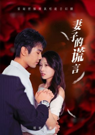 短剧妻子的谎言海报