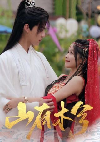 短剧山有木兮海报