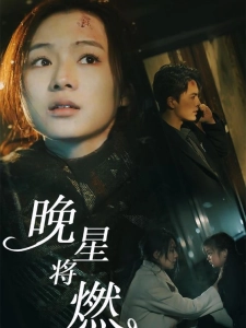 短剧晚星将燃海报