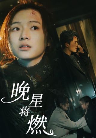 短剧晚星将燃海报